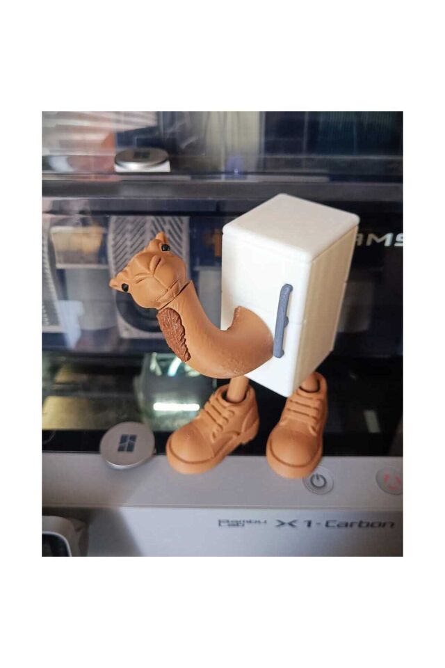  FrigoCamelo_1